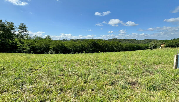 Terrain  à vendre Cescau 64170