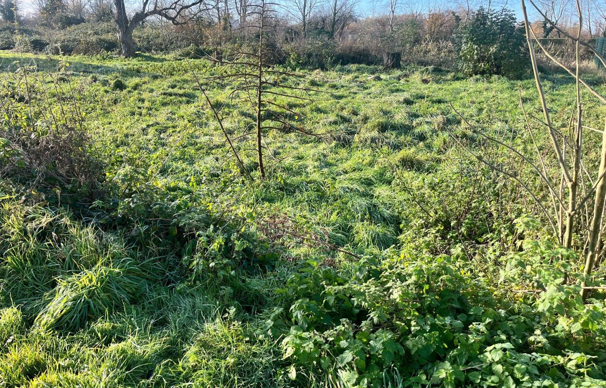 terrain  pièces 575 m2 à vendre à Conchil-le-Temple (62180)