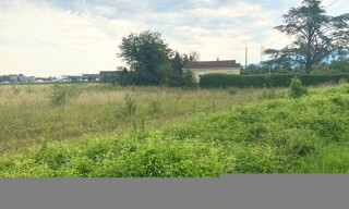 Photo N° 6