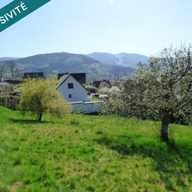 Terrain  49500 €