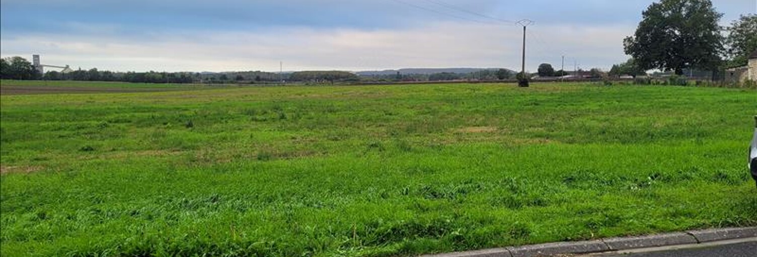 Terrain  3338 m² à vendre à La Celle-Saint-Avant (37160)