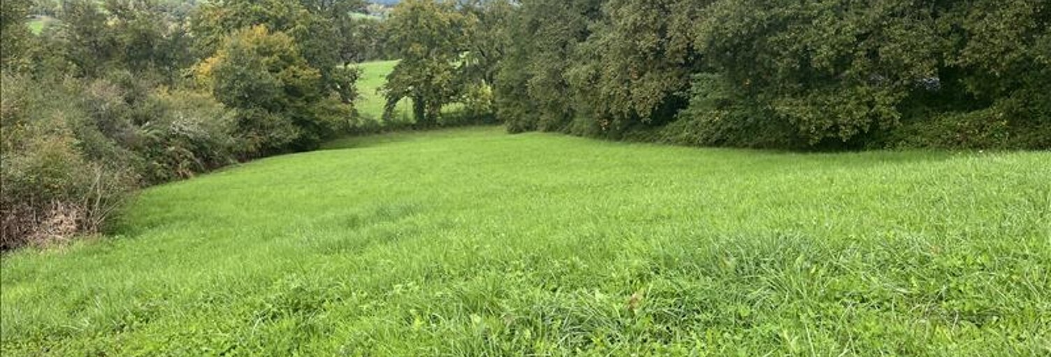 Terrain  4467 m² à vendre à Ussac (19270)