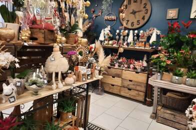 Commerce 2 pièces 39000 €