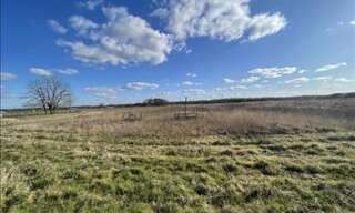 Terrain  11950 m² à vendre à Mont-près-Chambord (41250)