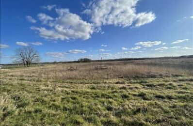 vente terrain 77 350 € à proximité de Cour-Cheverny (41700)