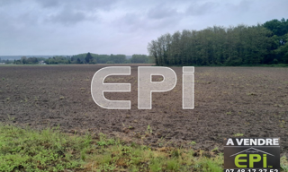 Terrain  50000 m² à vendre à Lencloître (86140)
