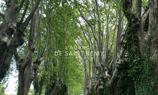 Terrain  682 m² à vendre à Saint-Rémy-de-Provence (13210)