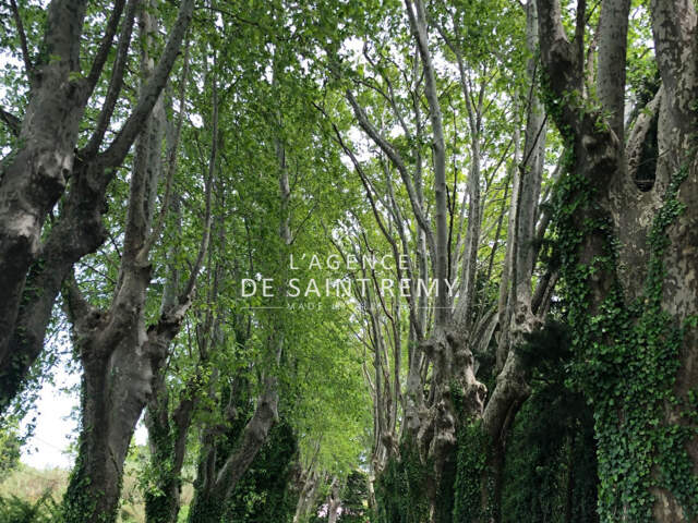 vente terrain — photo du bien
