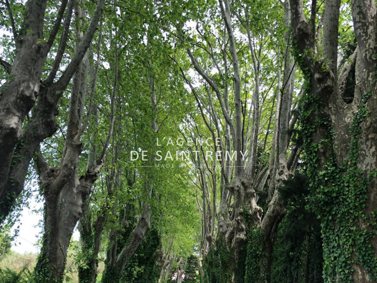vente terrain — photo 1