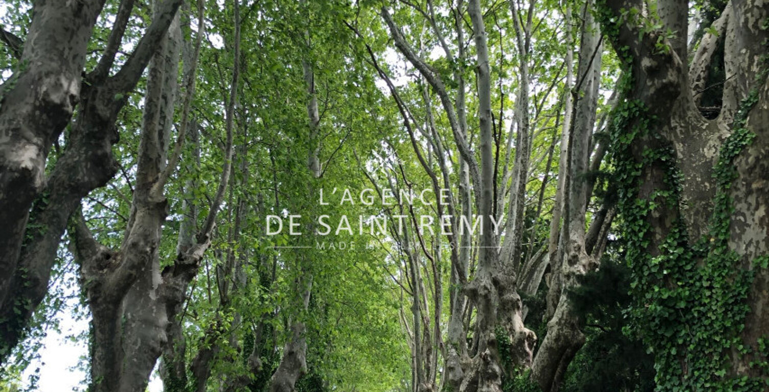vente terrain — photo 1