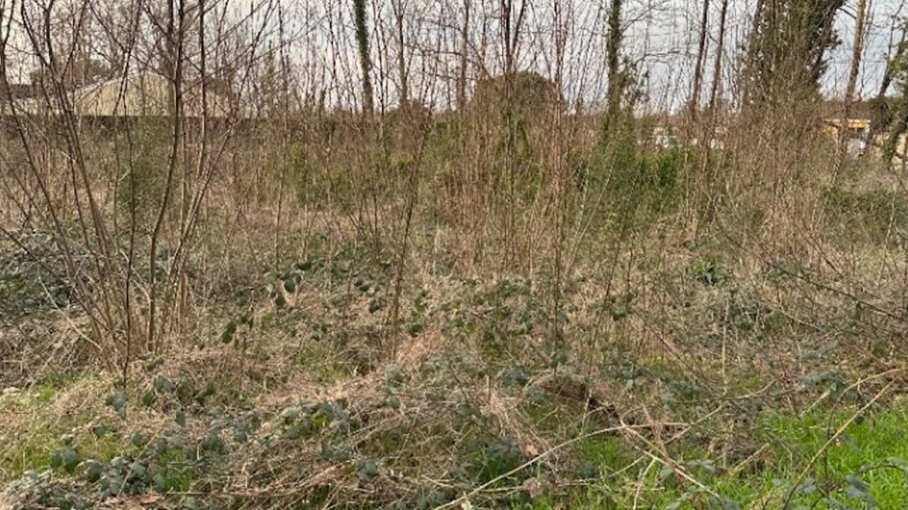 terrain  pièces 1200 m2 à vendre à Saint-Denis-de-Pile (33910)