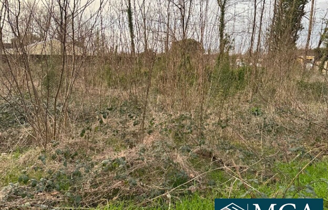 terrain  pièces 1200 m2 à vendre à Saint-Denis-de-Pile (33910)