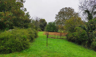 Photo N° 5