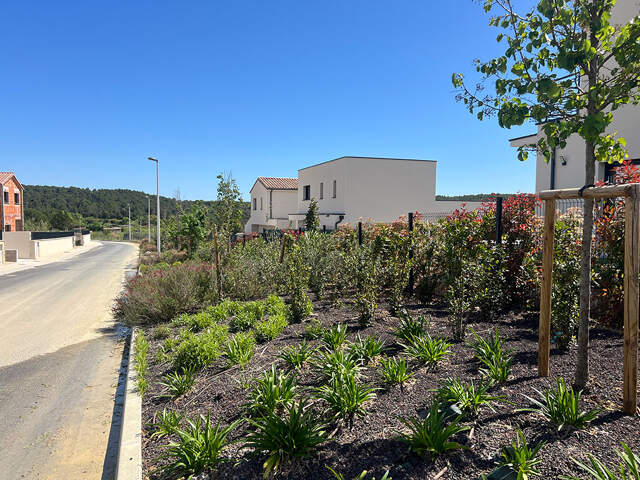 Terrain - 550 — photo du bien