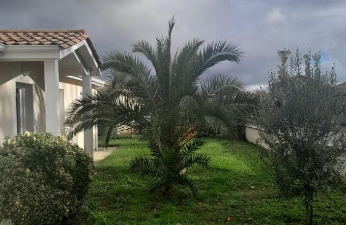 Maison À Vendre — photo 4