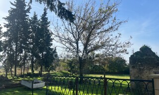 Photo N° 3