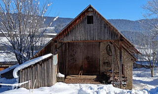 Photo N° 3