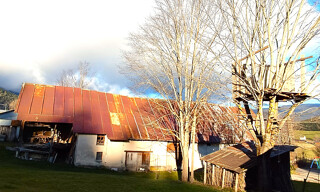 Photo N° 4