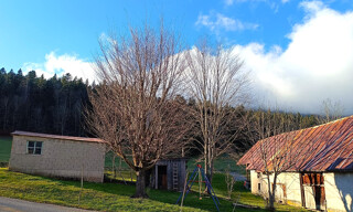 Photo N° 10