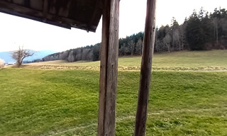 Photo N° 13