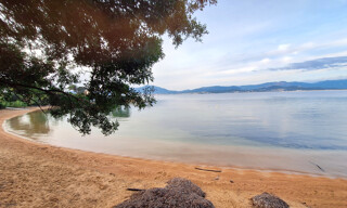 Photo N° 3