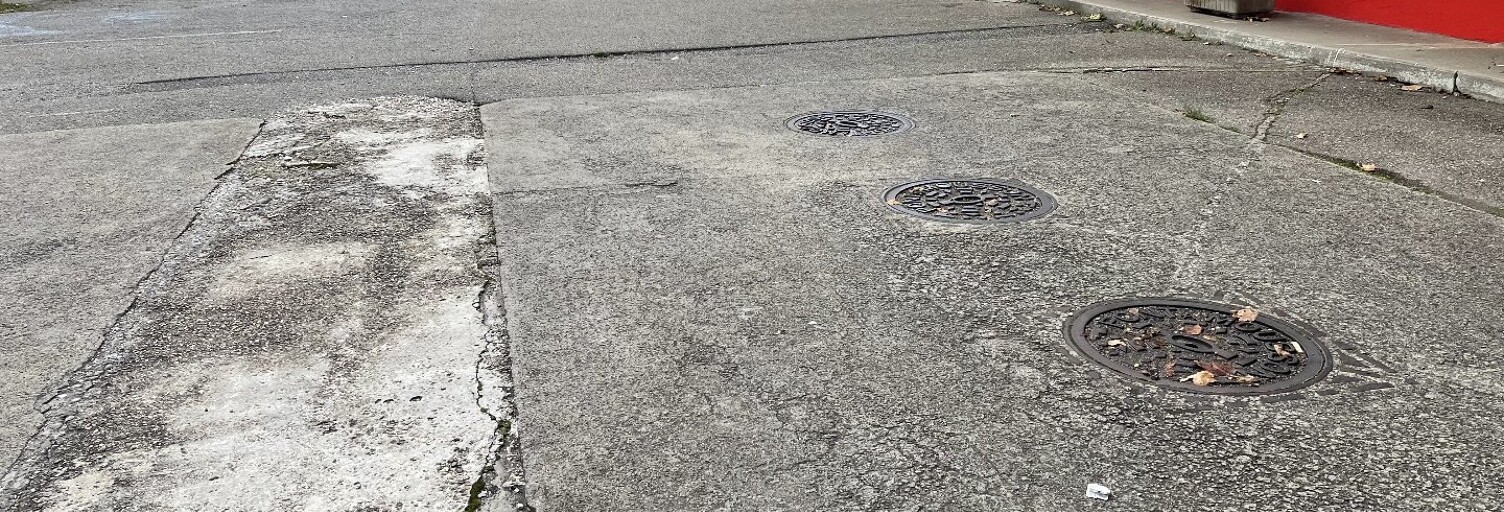 Commerce  600 m² à vendre à Échirolles (38130)