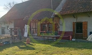 Photo N° 16