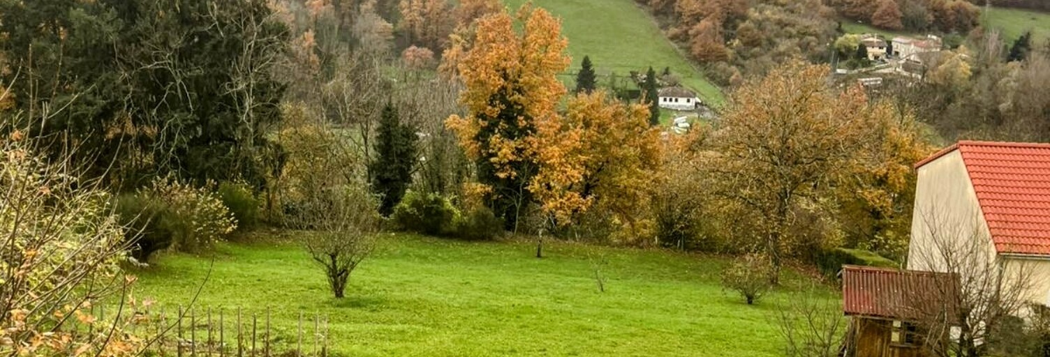 Maison 7 Pièces 176 m² à vendre à Thiers (63300)