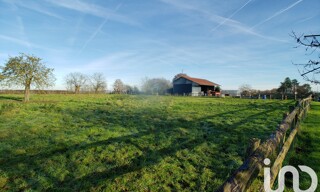 Photo N° 4