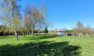 Photo N° 6