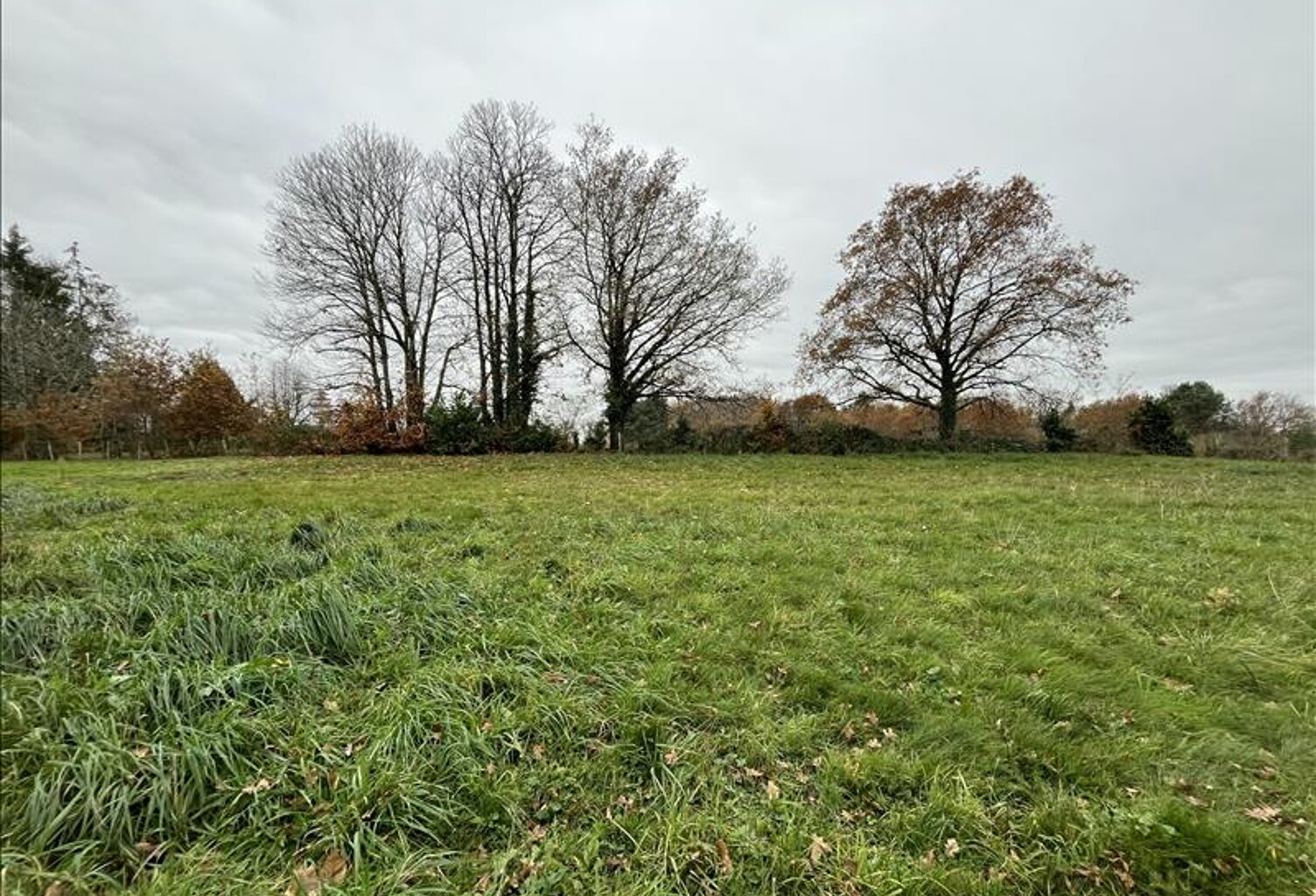 Terrain à bâtir de 0 pièces principales — photo 1