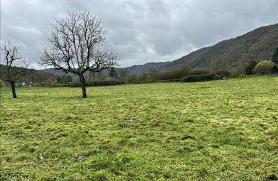 terrain  pièces 1572 m2 à vendre à Monceaux-sur-Dordogne (19400)