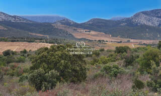 Terrain  31187 m² à vendre à Lesquerde (66220)