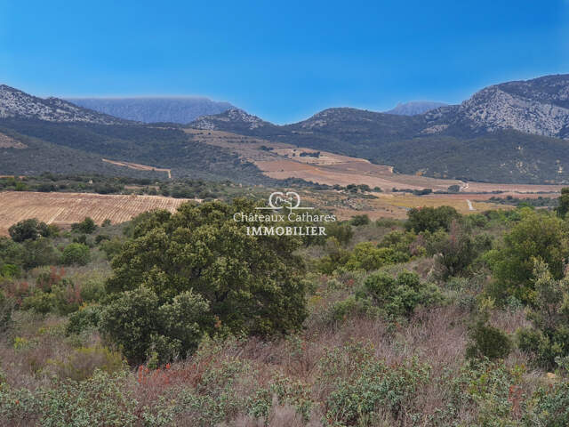 Terrains agricoles Boisés sur Maury et Lesquerde — photo du bien