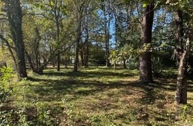 terrain  pièces 1190 m2 à vendre à Gaillan-en-Médoc (33340)