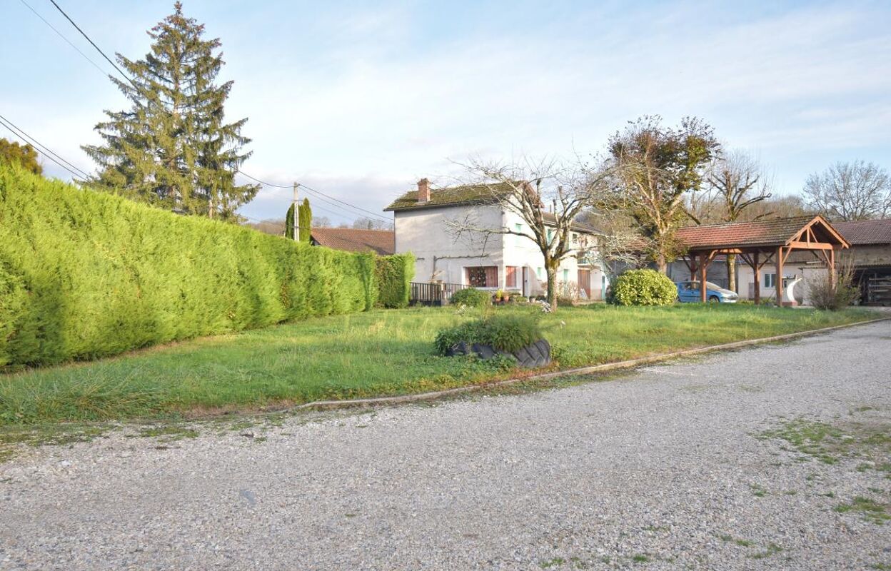 maison 8 pièces 220 m2 à vendre à Rignieux-le-Franc (01800)