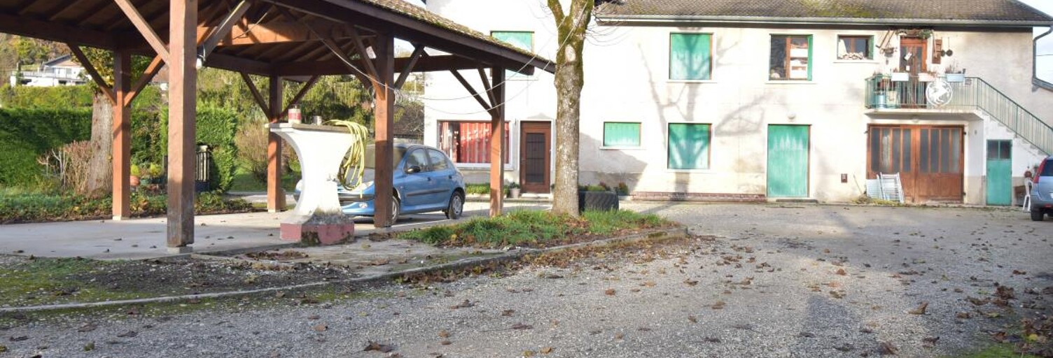 Maison 8 Pièces 220 m² à vendre à Rignieux-le-Franc (01800)