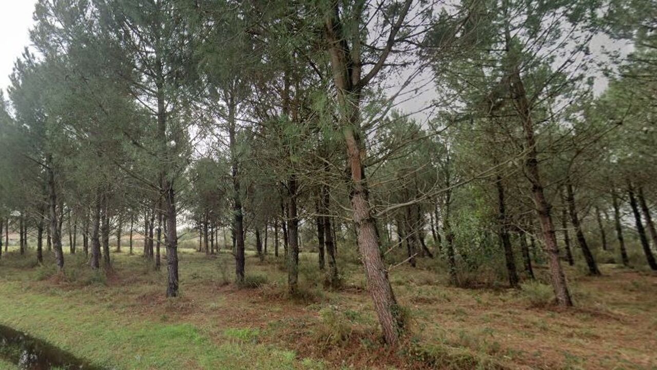 terrain  pièces 560 m2 à vendre à Andernos-les-Bains (33510)