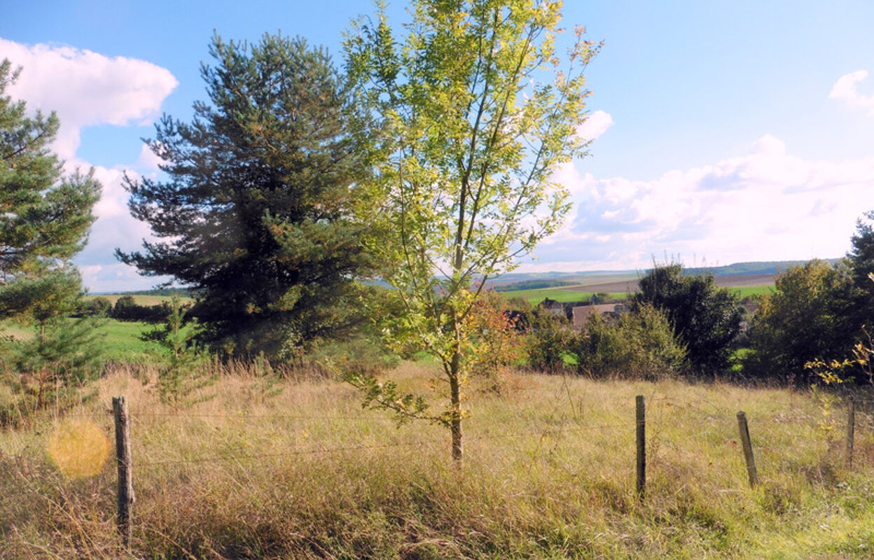 terrain  pièces 1000 m2 à vendre à Villeneuve-l'Archevêque (89190)