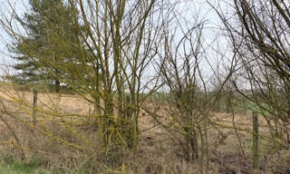 Terrain  1000 m² à vendre à Villeneuve-l'Archevêque (89190)