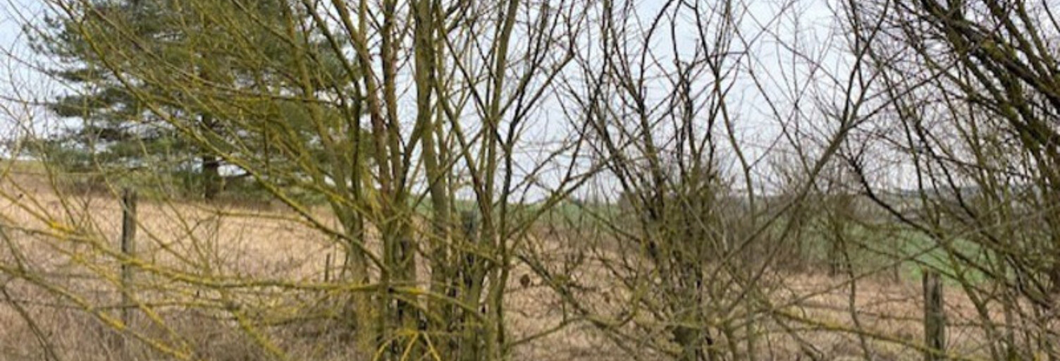 Terrain  1000 m² à vendre à Villeneuve-l'Archevêque (89190)