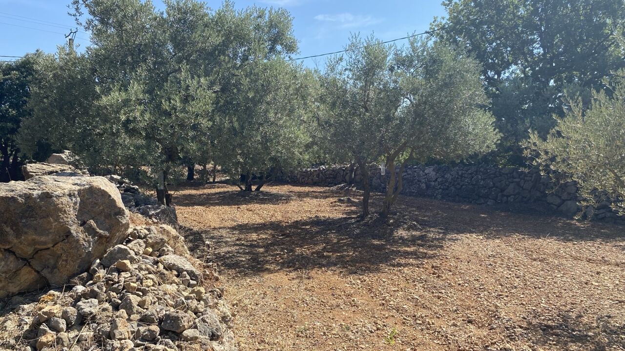 terrain 2320 m2 à construire à Saint-Maximin-la-Sainte-Baume (83470)