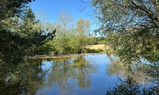 Maison 7 Pièces 210 m² à vendre à Dame-Marie-les-Bois (37110)