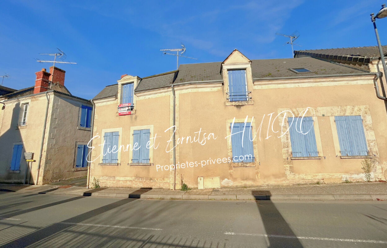 maison 10 pièces 256 m2 à vendre à Pruniers (36120)