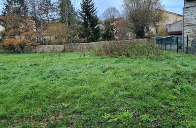 vente terrain 59 000 € à proximité de Rozier-Côtes-d'Aurec (42380)