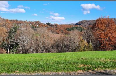 terrain  pièces 5000 m2 à vendre à Objat (19130)