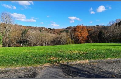 terrain  pièces 5000 m2 à vendre à Objat (19130)