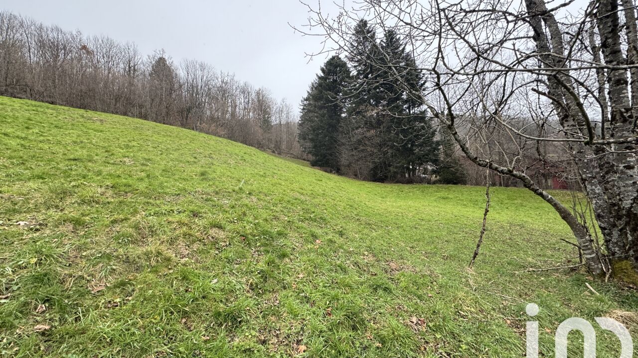 terrain  pièces 5810 m2 à vendre à La Bresse (88250)