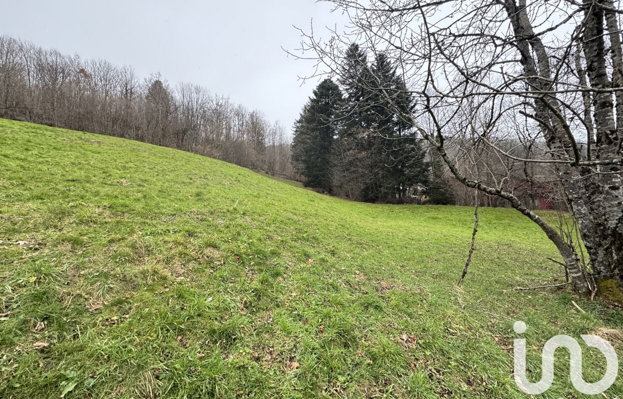 terrain  pièces 5810 m2 à vendre à La Bresse (88250)