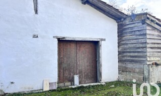 Photo N° 6